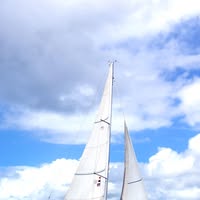 Flying Viking