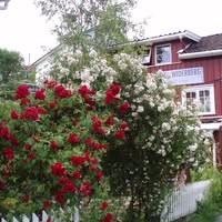 Galleri Sagesund