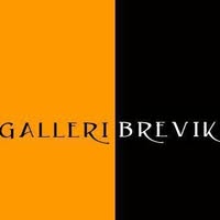 Galleri Brevik