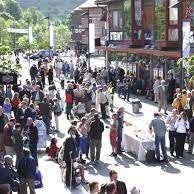 Handlegato i Rosendal