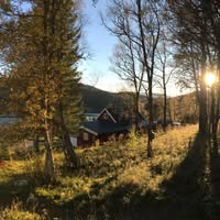 Grønlia hyttefelt - Tomter ved Frillsjøen i Meldal, kun 1 time fra Tr.heim