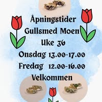 Gullsmed MOEN