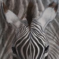 Ida-Meyer.com