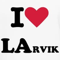 HvaSkjeriLarvik