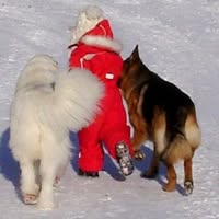 Hundepensjonat - Kennel Strøndafjorden