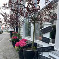 kitsj dame og herrefrisør