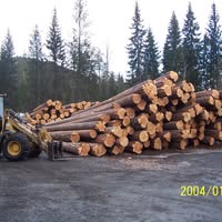 Kvålsgard Sag