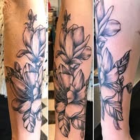 Lena tattoo Studio