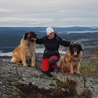 Leostone Kennel