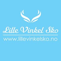 Lille Vinkel Sko