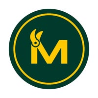 Mesterblikk AS