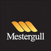 Mestergull Melhus