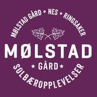 Mølstad gård - en solbæropplevelse