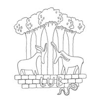 Lunner barneskole