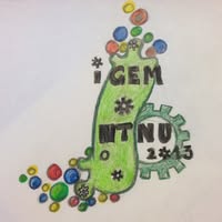 NTNU IGEM 2013