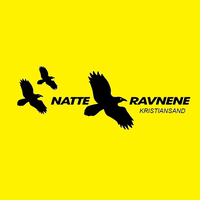 Natteravnene i Kristiansand - NiK