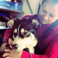 Nidaros Hundemassasje