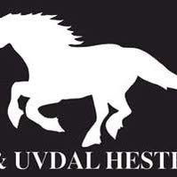 Nore og Uvdal hesteklubb