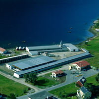 Øyralaget, arena for bygdaunderhaldning