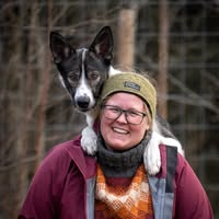 Positiv Hundetrening