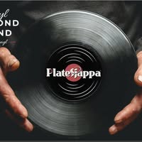 Platesjappa