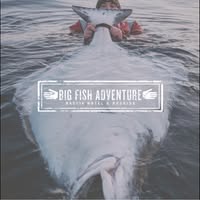 Big Fish Adventure
