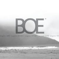 BOE's CRIB