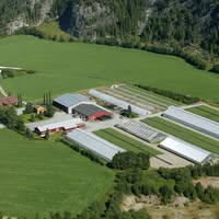 Skogplanter Midt-Norge As
