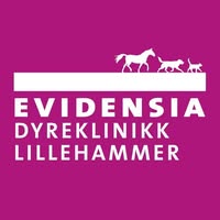 Sentrum Dyreklinikk Lillehammer