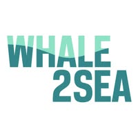 Sea Safari Andenes