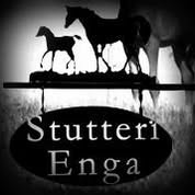 Stutteri Enga