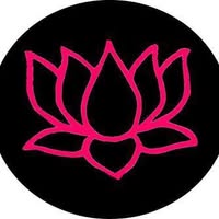 Studio Lotus