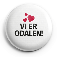 Sør-Odal kommune