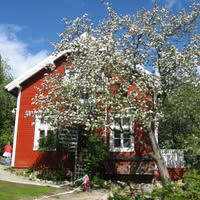 Steinerbarnehagen Rotnissen