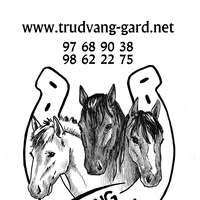 TRUDVANG RIDESKOLE