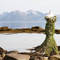 BlomsterDesign