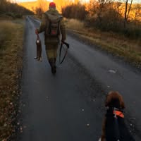 Tallåsen