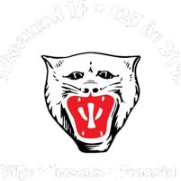 Wildcats Vikersund Håndball