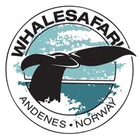 Whalesafari Andenes
