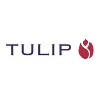 Tulip Regnskap