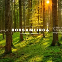 Ulvestadbygda folkeboksamling