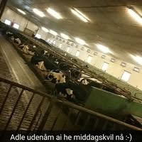 Yggar Farm