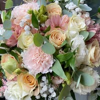 Blomsterkjelleren     Skodje • Brattvåg