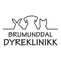 Brumunddal Dyreklinikk