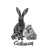 Castaway rabbits