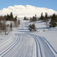 Eggedal Turlag - www.eggedalturlag.no