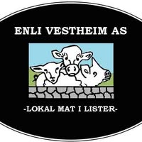 ENLI Vestheim As