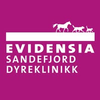 Din Dyreklinikk