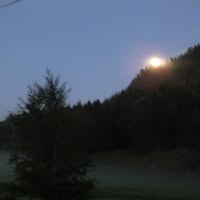 Folkvang Gaard