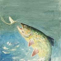 Fluefiskedagene - Nordic Flyfair - Elverum